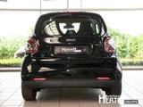 Smart EQ fortwo+EXCLUSIVE-P.+WINTER-P.+LED+R-KAMERA+ - gebrauchte Smart ForTwo aus dem Jahr 2024