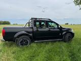 Nissan Navara  V6 D401 231 PS 3,0 - Nissan Navara: D40