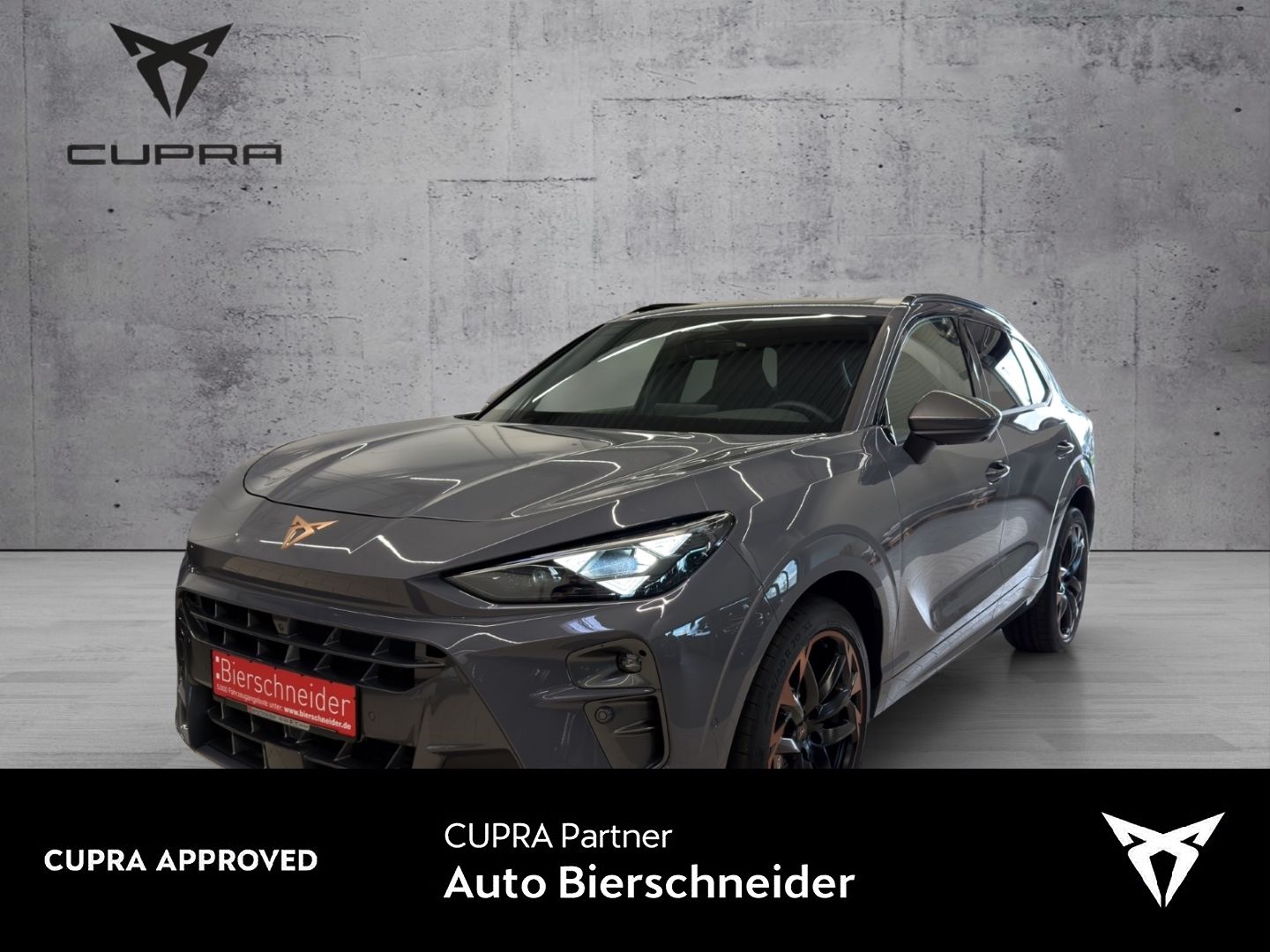 Cupra Terramar - Bild 1