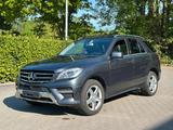 Mercedes-Benz ML 350 CDI BlueTec Leder*Panorama*360-Grad*