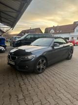 BMW 228i Cabrio Advantage TÜV NEU - BMW 228 mit Benzin-Antrieb: Cabrio