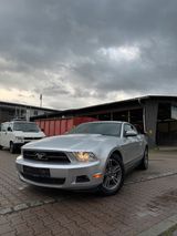Ford mustang 4.0 V6 *Tüv* - Ford Mustang aus 2010: Coupé