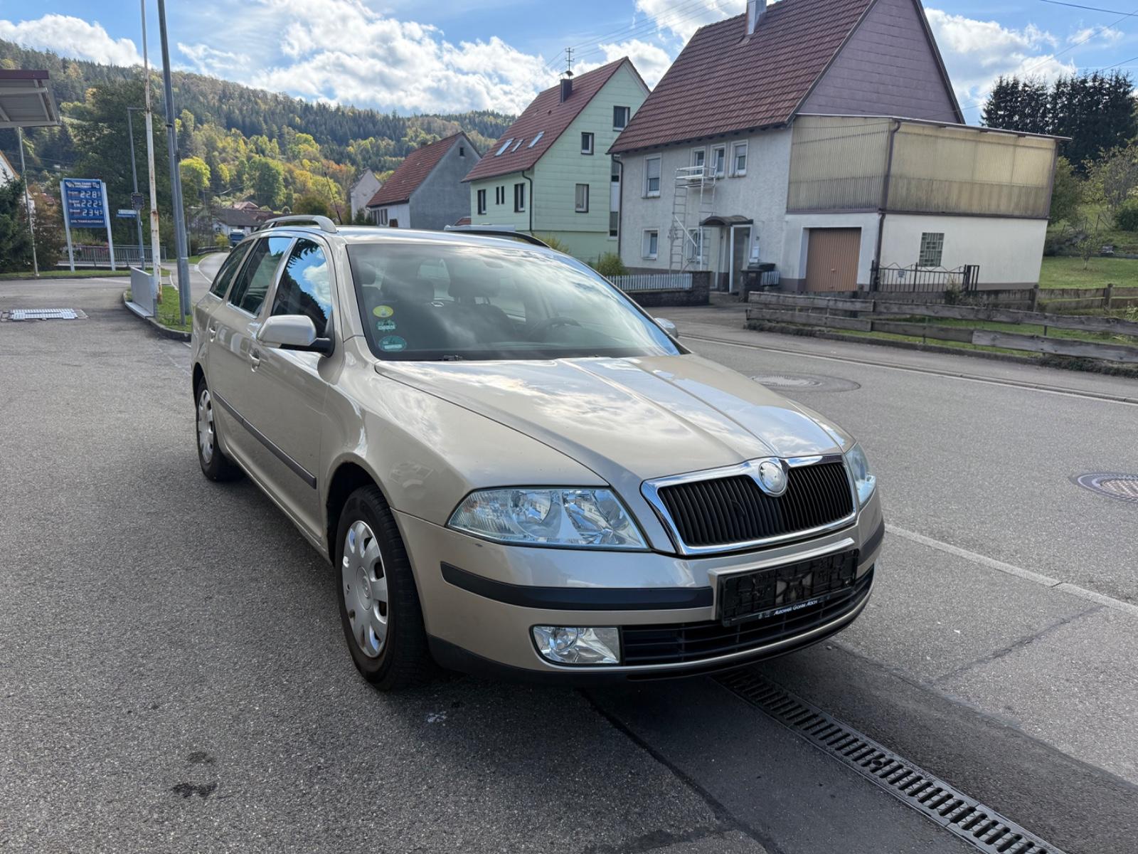Skoda Octavia 2006 — вигляд ззаду