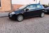 Fiat Punto - neuer TÜV -2. Hand - sehr gep... - Fiat Punto Gebrauchtwagen in Halle