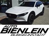Mazda CX-30 2.5 140PS Homura Voll-LED Navi Kamera elek - Mazda Neuwagen