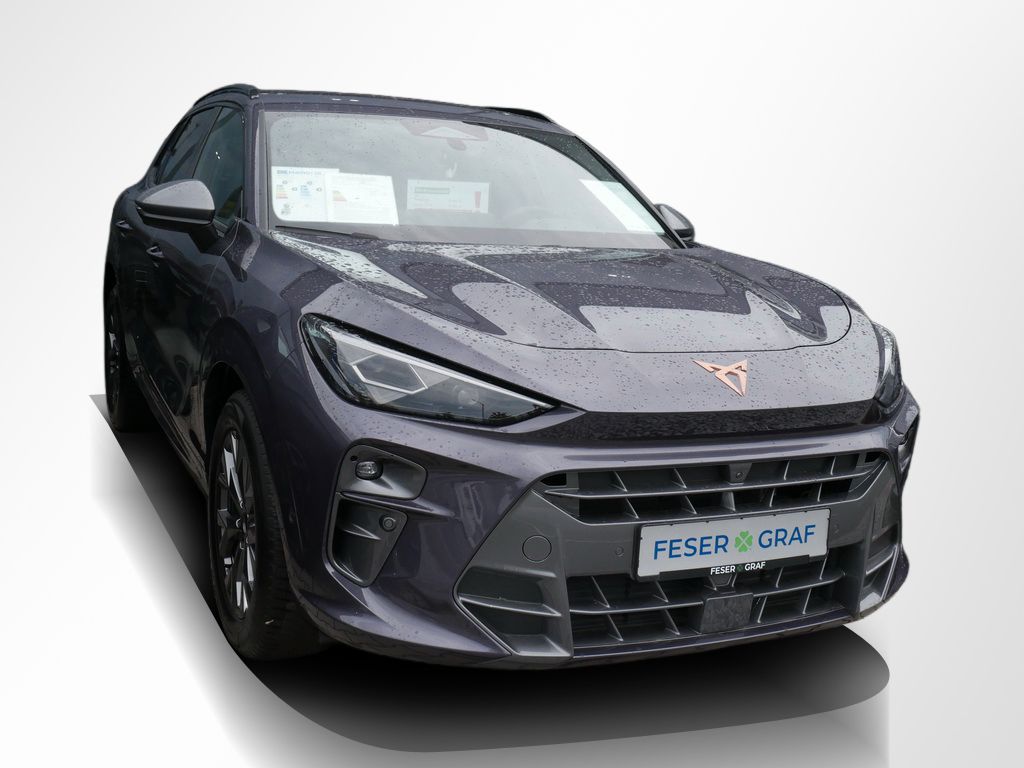 Cupra Terramar - Bild 5