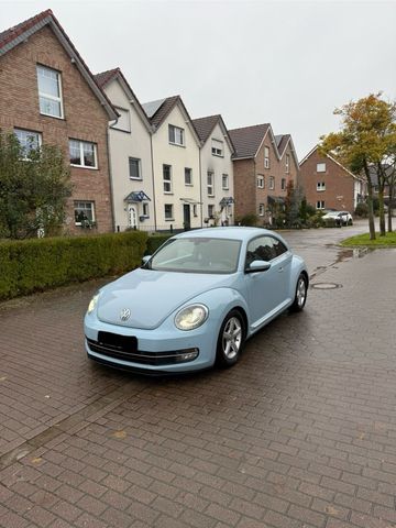 Volkswagen Vw Beetle Sport top