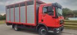 MAN TGL 8220 mit Neu Motor 96000km - MAN Tgl 8