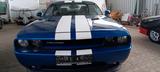 Andere Dodge Challenger - Andere: Sportwagen