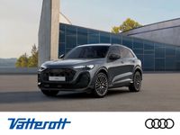 Audi SQ5 - Vorschau Bild 1