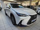 Lexus NX 450h+ E-FOUR Business AHK Leder elektrische S - Lexus NX Business