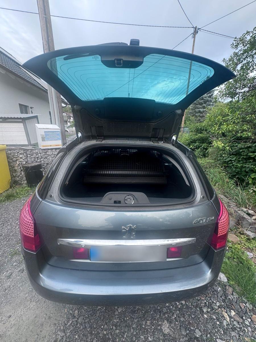 Peugeot 407 2010 — photo 6