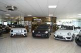 Volkswagen Beetle Cabriolet 1,8 Dune - Volkswagen Beetle mit Benzin-Antrieb: 1.8
