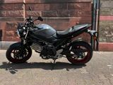 Suzuki SV 650 - Neuwertig - 3.5 Jahre Restgarantie - SUZUKI 650R