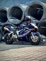 Honda VFR 800 VTEC - TÜV Neu! - Angebote