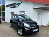 Fiat Panda Pop/1HD/KLIMA/SHZ/S+W R./PDC/TÜV 06-2026 - Fiat Panda: Schwarz