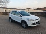 Ford Kuga 1,5 EcoBoost 4x4 134kW Titanium Autom. ... - Ford in Sindelfingen