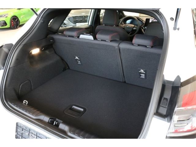 Fahrzeugabbildung Ford Puma ST-Line Winter Packet MHEV LED Navi PDC