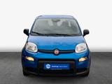 Fiat Panda 1.0 GSE Hybrid Radio/Tempomat/PDC - Fiat Panda Gebrauchtwagen in Krefeld
