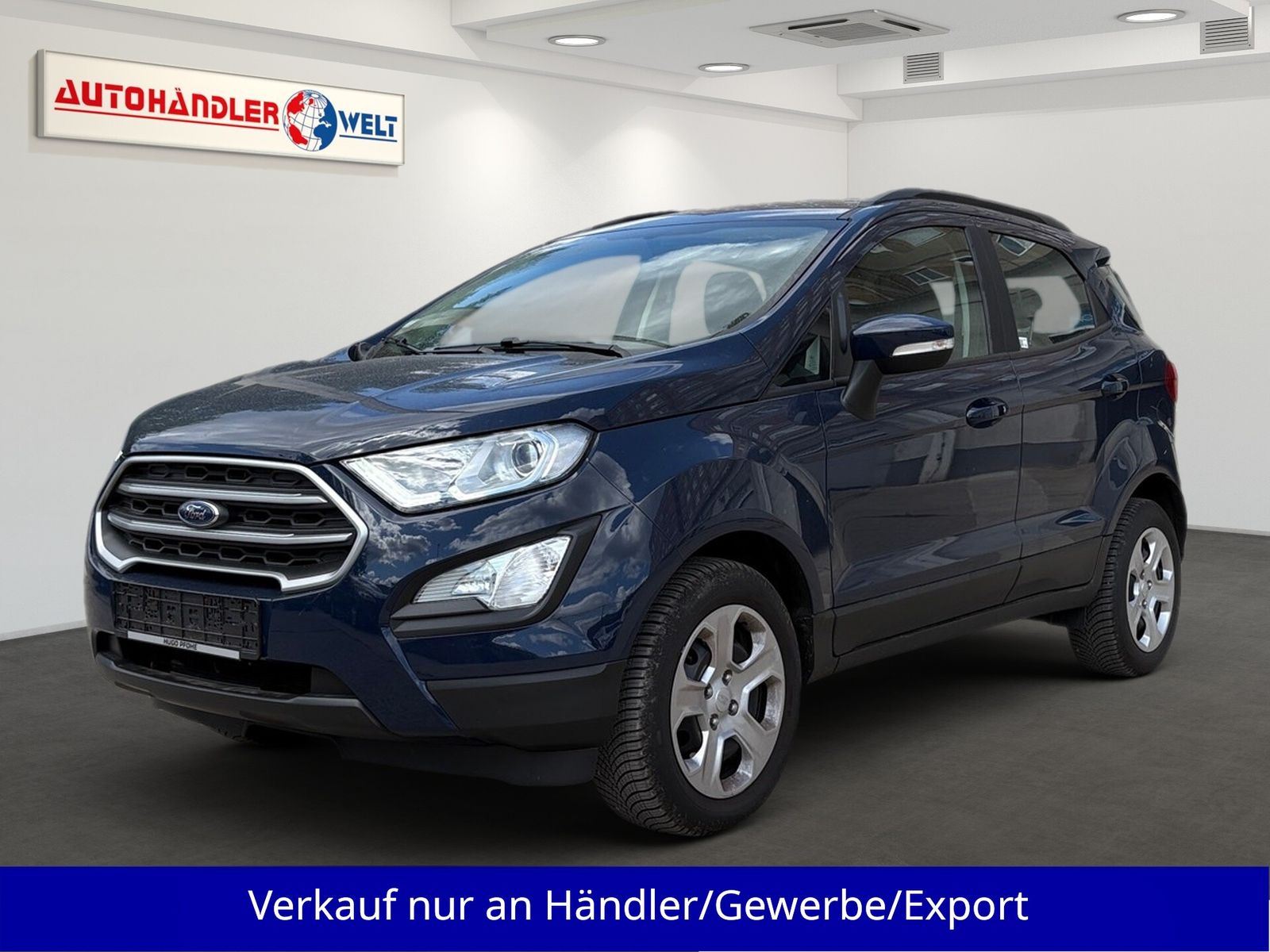 Ford EcoSport - 1