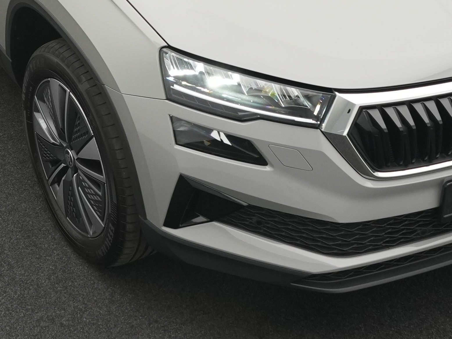 Skoda Karoq - Bild 18