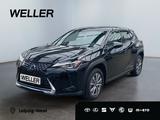Lexus UX 300e *LED*ACC*el Sitze*Fernlichtassis*CarPlay