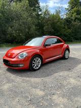 Volkswagen Beetle 1.2 TSI BMT CLUB CLUB - gebrauchte VW Beetle aus dem Jahr 2015