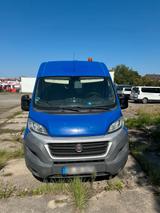 Fiat Ducato - Fiat Ducato Gebrauchtwagen in Dresden