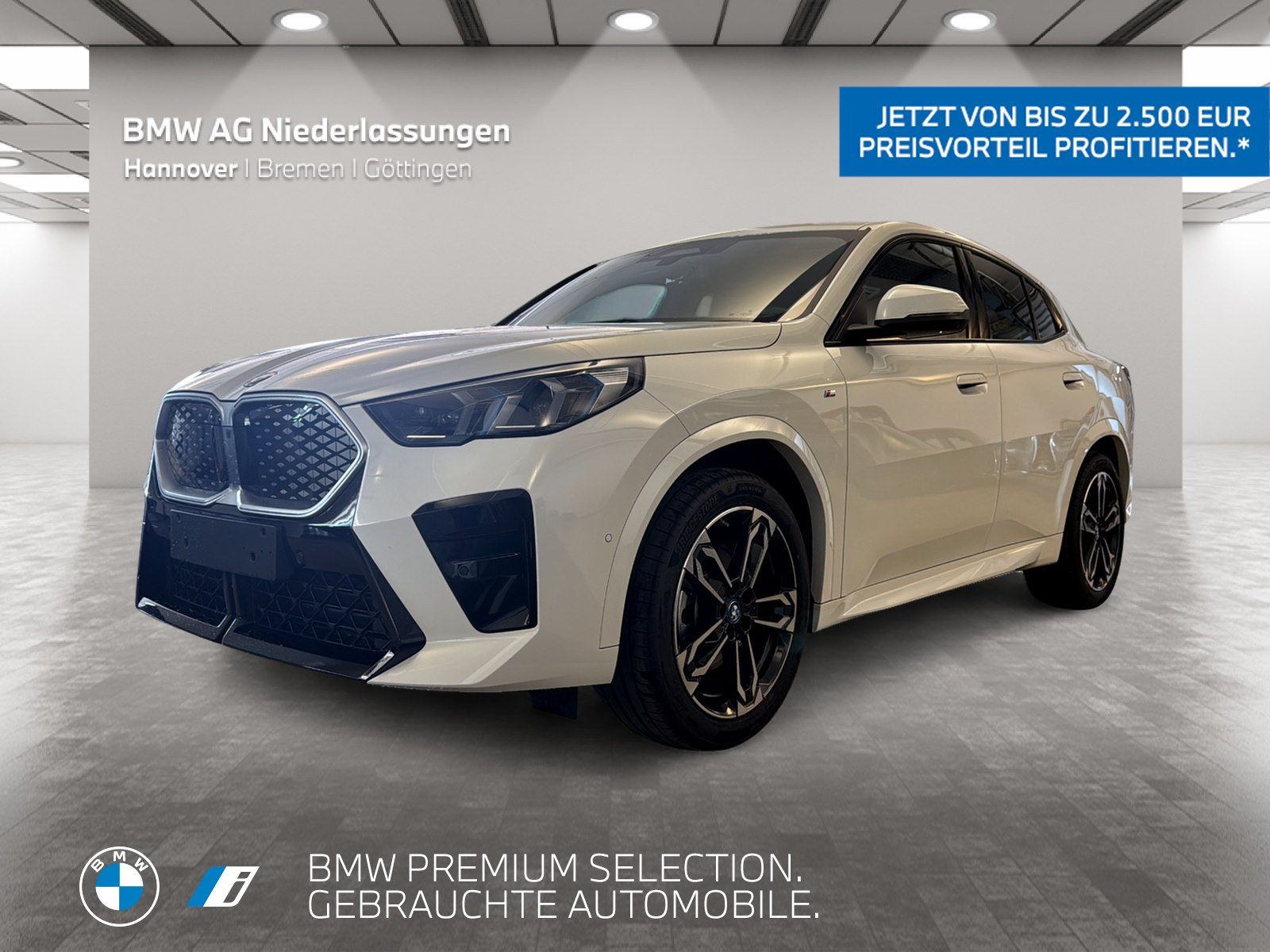 BMW iX2 xDrive30 M Sport AHK Driv.Assist.Prof LED