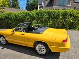Alfa Romeo Spider - Alfa Romeo Spider Gebrauchtwagen in Hamburg