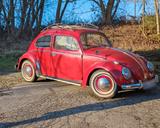 Volkswagen wunderschöner Käfer, Motor NEU - VW Käfer Gebrauchtwagen in Dortmund