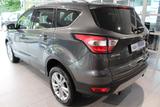 Ford Kuga Titanium 1.5l EB Automatik / Allrad - Ford Kuga Gebrauchtwagen in Köln