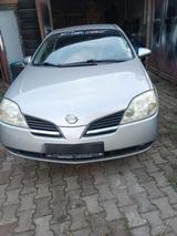 Nissan Primera P12 - Nissan Primera: P12