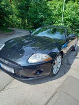 Jaguar XK Coupe - Jaguar XK: Jag