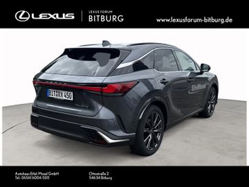 Lexus RX 450 - 5