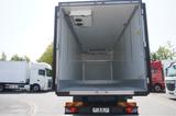 MAN TGX 26.470 / 2022 / Krone Refrigerator / 40 EPAL - MAN 6x4