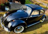 Volkswagen Käfer 1200 Export mit Faltdach Bj 58 - aus 1958 mit Benzin-Antrieb: Cabrio