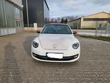 Volkswagen Beetle 1.4 TSI DSG BMT ALLSTAR TOP - Volkswagen Beetle: Weiß