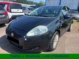 Fiat Punto 1.3 Multijet 16V 75 Dynamic Klima - Fiat Punto mit Diesel-Antrieb: Dynamic