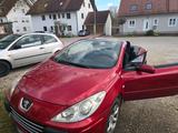 Peugeot 307 cc cabrio - Peugeot 307 von privat