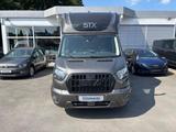 Ford Transit Pritsche 350 L3 Einzelkabine Trail - Angebote
