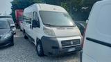 Fiat Ducato 33 2.3 MJT PM-TM Panorama - gebrauchte Fiat Ducato aus dem Jahr 2008