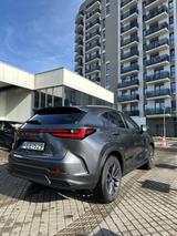 Lexus NX 450h 450h+ E-FOUR - - schwarze Lexus NX-Serie