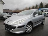 Peugeot 307 Grand Filou Cool - Peugeot 307: Filou Cool Grand