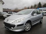 Peugeot 307 Grand Filou Cool - Peugeot 307: Grand Filou