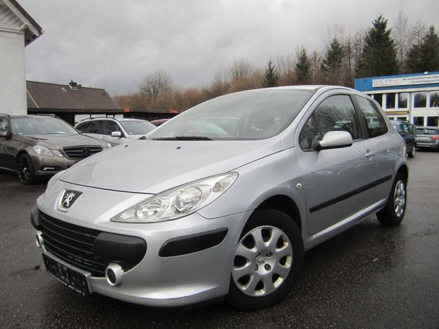 Peugeot 307 Grand Filou Cool