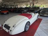 Jaguar XK 120 SERVICE NEU RESTAURIERT - Jaguar XK: Xk120