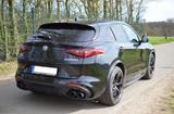 Alfa Romeo Stelvio 2.9 V6 Bi-Turbo Quadrifoglio 510 PS - Alfa Romeo: 2.5