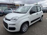 Fiat Panda 1.0 Hybrid SITZHEIZUNG,ALLWETTER,TFT-TACHO - Fiat Panda Gebrauchtwagen in Karlsruhe