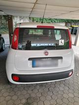 Fiat FIAT NEW PANDA  KLIMA BJ 2017 - Fiat New Panda von privat